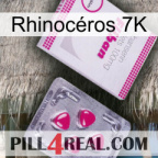Rhinocéros 7K 32